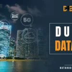 dubai Database
