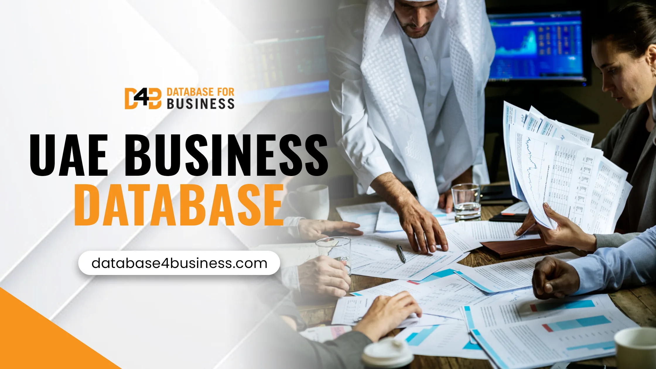 UAE Business Database