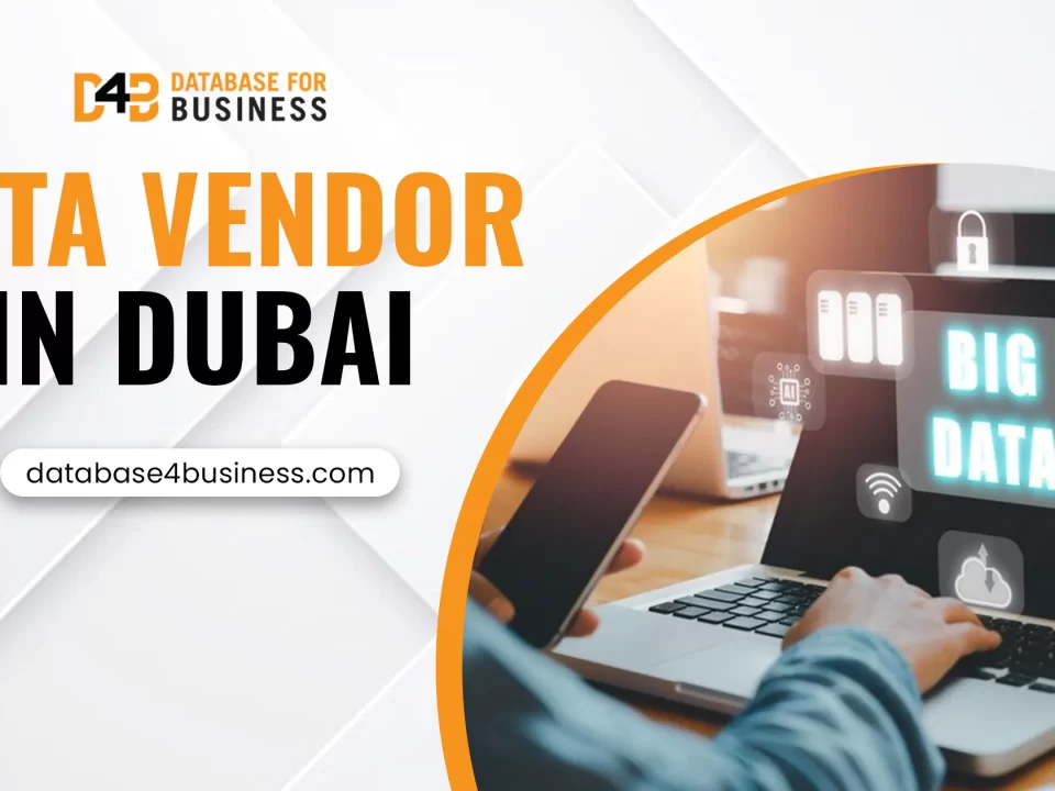 data vendor in Dubai