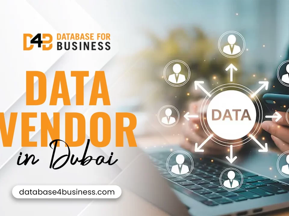 data vendor in Dubai